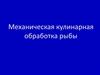 Механическая кулинарная обработка рыбы
