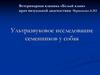 Ультразвуковое исследование семенников у собак