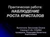 Практическая работа: наблюдение роста кристалов