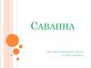Саванна