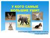 Животные с длинными ушами