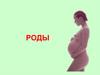 Роды. Определение срока родов