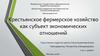 Крестьянское фермерское хозяйство, как субъект экономических отношений