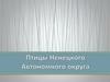 Птицы Ненецкого Автономного округа