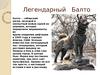 Легендарный   Балто