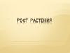 Рост растения