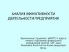 Анализ эффективности деятельности предприятия