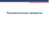Познавательные процессы. Классификация психических явлений