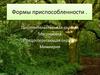 Формы приспособленности