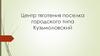 Центр тяготения поселка городского типа Кузьмоловский. Ленинградская обл
