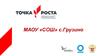 Точка Роста. МАОУ «СОШ» с. Грузино