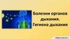 Болезни органов дыхания. Гигиена дыхания
