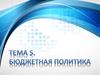 Бюджетная политика