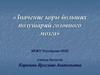 Значение коры больших полушарий головного мозга