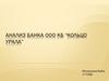 Анализ банка ооо КБ “Кольцо Урала”