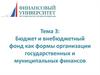 Бюджет и внебюджетный фонд как формы организации государственных и муниципальных финансов