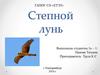 Степной лунь