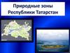 Природные зоны Республики Татарстан (часть 2)