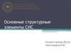 Основные структурные элементы СНС