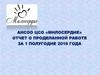Отчет о работе 1 полугодие АНСОО ЦСО «Милосердие»