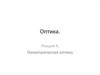Геометрическая оптика. (Лекция 4)