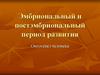 Эмбриональный и постэмбринальный период развития