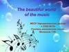 The beautiful world of the music