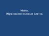 Мейоз. Образование половых клеток