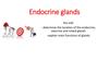 Endrocrine glands