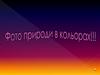Фото природи в кольорах