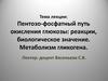 Пентозо-фосфатный путь окисления глюкозы: реакции, биологическое значение. Метаболизм гликогена