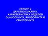 Царство eukarya. Характеристика отделов glaucophyta, rhodophyta и cryptophyta. (Лекция 2)