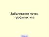 Профилактика заболеваний почек