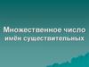 Множественное число имён существительных