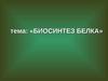 Биосинтез белка
