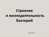 Строение и жизнедеятельность бактерий