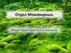 Отдел моховидные