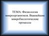 Физиология микроорганизмов. Важнейшие микробиологические процессы