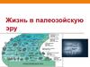 Жизнь в палеозойскую эру