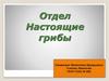 Отдел Настоящие грибы