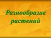 Разнообразие растений
