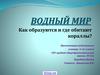 Водный мир