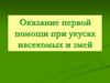Оказание первой помощи при укусах насекомых и змей