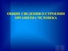 Общие сведения о строении организма человека