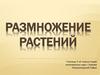 Размножение растений