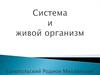 Система и живой организм