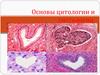 Основы цитологии и гистологии