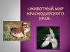 Животный мир Краснодарского края