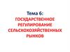 Государственное регулирование сельскохозяйственных рынков. (Тема 6)