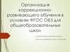 Организация коррекционно-развивающего обучения в условиях ФГОС ОВЗ для общеобразовательных школ